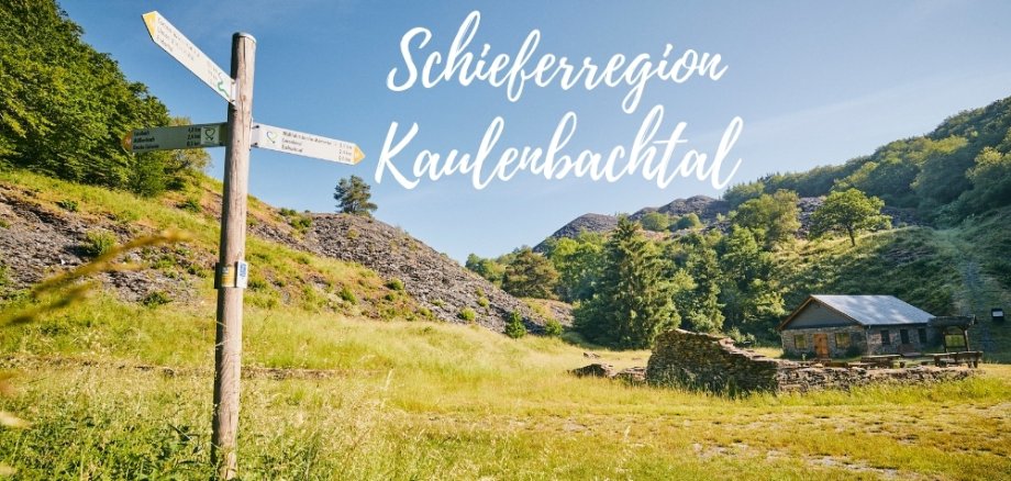 Landschaftsbild Kaulenbachtal