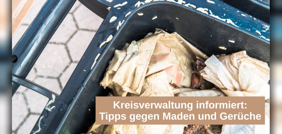Biotonne mit Madenbefall