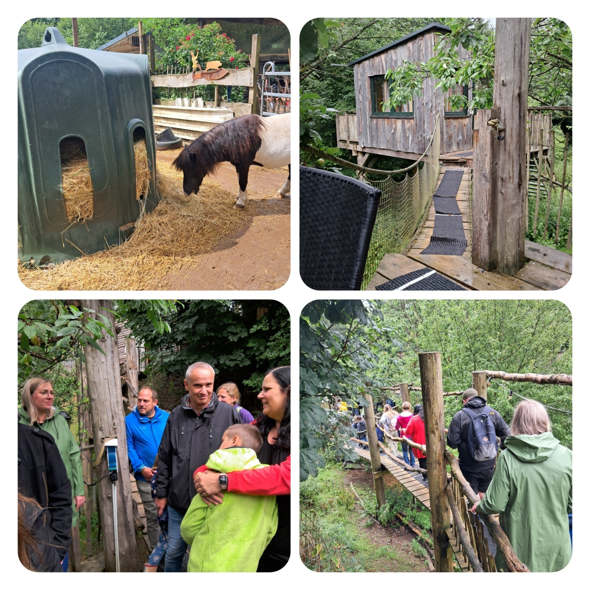 Verschiedene Fotos mit einem Esel, einem Klettergerüst, Menschen und einer Brücke, über die Menschen laufen.