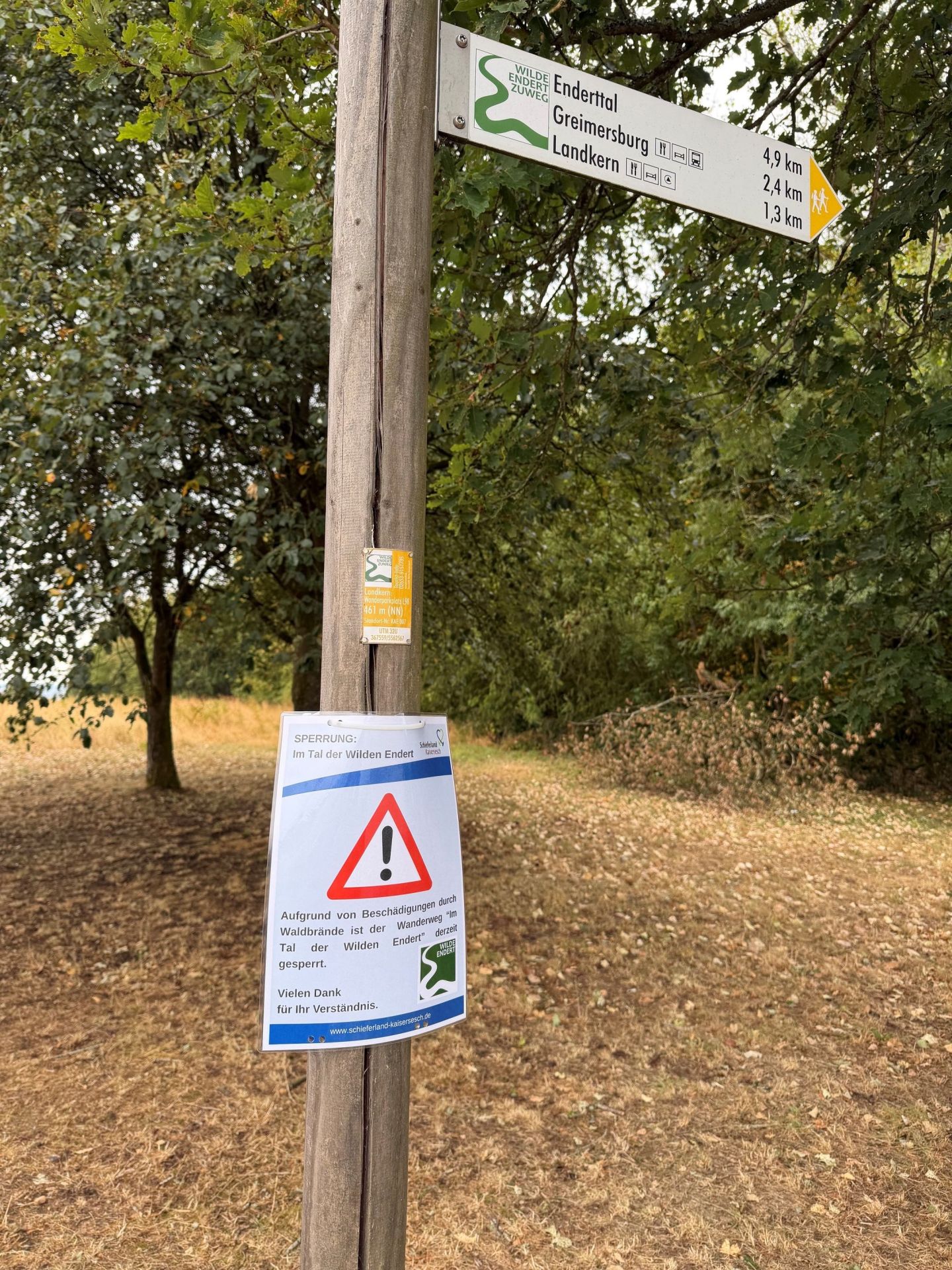 Das Bild zeigt einen hölzernen Wegweiserpfahl im Freien, der von Bäumen und trockenem Gras umgeben ist. Der Pfahl ist vertikal positioniert und im Vordergrund des Bildes platziert. An dem Pfahl sind mehrere Schilder und Zettel angebracht. Oben auf dem Pfahl befindet sich ein weißes Schild mit grünen und schwarzen Beschriftungen sowie einem stilisierten grünen Schlangenmotiv, das den Wilden Endert-Zuwege kennzeichnet. Dieses Schild listet verschiedene Ziele auf, darunter "Enderttal", "Greimersburg" und "Landkern", zusammen mit Entfernungsangaben in Kilometern und kleinen Piktogrammen, die auf Einrichtungen wie eine Bushaltestelle, ein Restaurant und eine Wanderhütte hinweisen. Ein kleiner gelber Pfeil am rechten Ende des Schildes zeigt die Richtung an. Direkt unter dem Hauptwegweiser hängt ein weiteres, kleineres, rechteckiges gelbes Schild mit der Aufschrift "Landkern Wanderportal 96 461 m (NN)" und weiteren technischen Angaben. Am unteren Teil des Pfahls ist ein größeres, weißes Blatt mit blauer Umrandung und rotem Warndreieck angebracht, das eine Sperrung ankündigt. Die Überschrift lautet "SPERRUNG: Im Tal der Wilden Endert". Darunter steht in schwarzer Schrift: "Aufgrund von Beschädigungen durch Waldbrände ist der Wanderweg "Im Tal der Wilden Endert" derzeit gesperrt. Vielen Dank für Ihr Verständnis." Am unteren Rand des Sperrschildes ist die Internetadresse "www.schieferland-kaisersesch.de" aufgedruckt. Daneben befindet sich das Logo des Wilden Endert. Der Hintergrund besteht aus einer Mischung aus grünen Baumkronen und einem Feld mit trockenem, gelblich-braunem Gras, das von Laub bedeckt ist. 