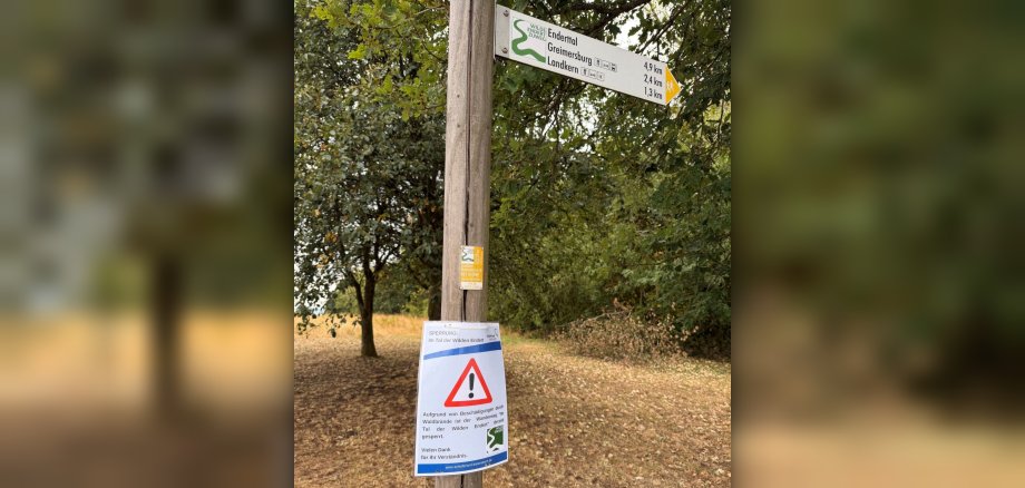 Das Bild zeigt einen hölzernen Wegweiserpfahl im Freien, der von Bäumen und trockenem Gras umgeben ist. Der Pfahl ist vertikal positioniert und im Vordergrund des Bildes platziert. An dem Pfahl sind mehrere Schilder und Zettel angebracht. Oben auf dem Pfahl befindet sich ein weißes Schild mit grünen und schwarzen Beschriftungen sowie einem stilisierten grünen Schlangenmotiv, das den Wilden Endert-Zuwege kennzeichnet. Dieses Schild listet verschiedene Ziele auf, darunter "Enderttal", "Greimersburg" und "Landkern", zusammen mit Entfernungsangaben in Kilometern und kleinen Piktogrammen, die auf Einrichtungen wie eine Bushaltestelle, ein Restaurant und eine Wanderhütte hinweisen. Ein kleiner gelber Pfeil am rechten Ende des Schildes zeigt die Richtung an. Direkt unter dem Hauptwegweiser hängt ein weiteres, kleineres, rechteckiges gelbes Schild mit der Aufschrift "Landkern Wanderportal 96 461 m (NN)" und weiteren technischen Angaben. Am unteren Teil des Pfahls ist ein größeres, weißes Blatt mit blauer Umrandung und rotem Warndreieck angebracht, das eine Sperrung ankündigt. Die Überschrift lautet "SPERRUNG: Im Tal der Wilden Endert". Darunter steht in schwarzer Schrift: "Aufgrund von Beschädigungen durch Waldbrände ist der Wanderweg "Im Tal der Wilden Endert" derzeit gesperrt. Vielen Dank für Ihr Verständnis." Am unteren Rand des Sperrschildes ist die Internetadresse "www.schieferland-kaisersesch.de" aufgedruckt. Daneben befindet sich das Logo des Wilden Endert. Der Hintergrund besteht aus einer Mischung aus grünen Baumkronen und einem Feld mit trockenem, gelblich-braunem Gras, das von Laub bedeckt ist. 