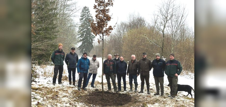 Gruppenfoto anlässlich der Pflanzung einer Eiche, als Erinnerungsbaum für Revierleiter Michael Fohl. Gruppenfoto anlässlich der Pflanzung einer Eiche, als Erinnerungsbaum für Revierleiter Michael Fohl. Elf Personen stehen um die neu gepflanzte Eiche auf einer Lichtung im Revier Hochpochten/Masburg. Es ist ein winterliches Bild und im Hintergrund liegt Schnee.