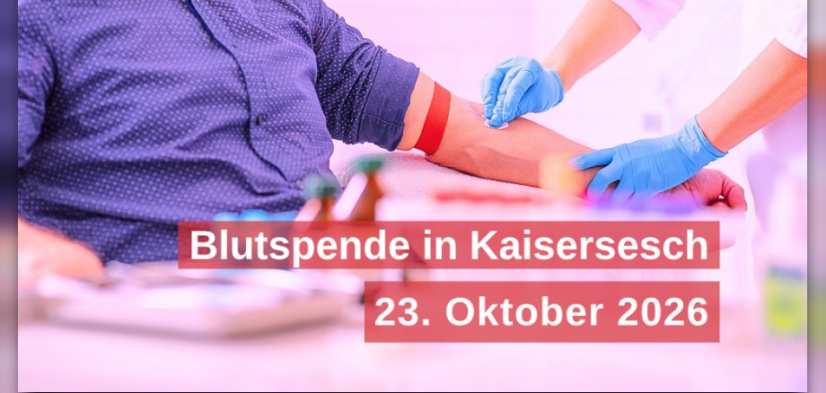 DRK Blutspende Eine Person sitzt mit hochgekrempeltem Ärmel und ausgestrecktem Arm auf einem Stuhl. Eine medizinische Fachkraft in blauen Einmalhandschuhen bereitet die Blutspende vor und untersucht die Armbeuge. Im Vordergrund ist medizinisches Equipment unscharf zu sehen. Im Bild steht: „Blutspende in Kaisersesch – 23. Oktober 2026“.