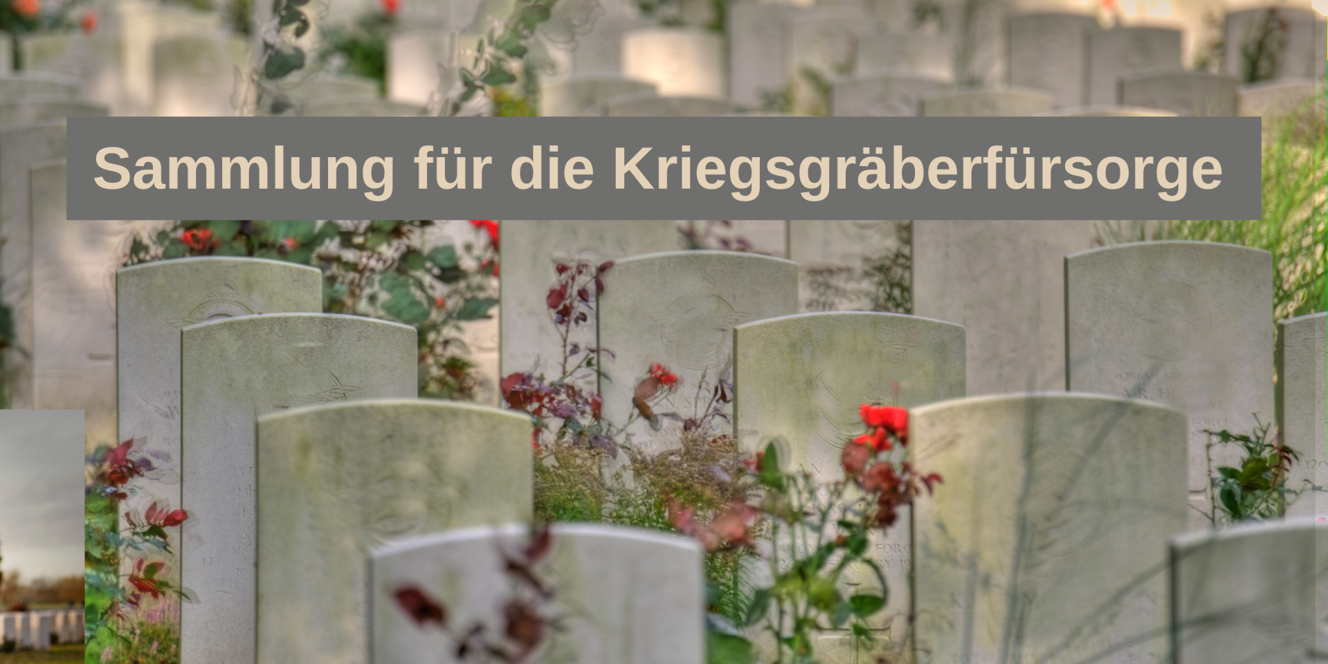 Graue Grabsteine stehen auf einem gepflegten Friedhof zwischen roten Rosen und Grünpflanzen. Oben im Bild steht: „Sammlung für die Kriegsgräberfürsorge“.