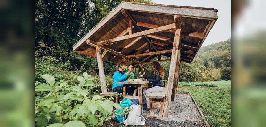Die drei Personen sitzen an einem Holztisch auf Holzbänken am Rande des Wanderwegs Pommerbachtal. Das Bild zeigt drei Personen, die unter einem rustikalen Holzhäuschen sitzen und eine Pause machen. Das Häuschen ist offen und besteht aus groben Holzplanken und Balken, mit einem schrägen Dach. Im Vordergrund stehen grüne Pflanzen im Fokus. Die Szene zeigt einen Platz am Wanderweg Pommerbachtal, mit dichtem Grün im Hintergrund und einem sanften Hügel, der im diffusen Licht verschwimmt. Die drei Personen sitzen an einem Holztisch auf Holzbänken. Von links nach rechts: eine Frau mit schulterlangen, gewellten braunen Haaren und einer blauen und pinkfarbenen Outdoor-Jacke. Sie hält ein Glas Wein und lächelt. In der Mitte sitzt ein Mann mit Brille und einem grünen Outdoor-Shirt, der ebenfalls ein Glas Wein hält und mit der Frau spricht. Rechts sitzt eine Frau mit langen, lockigen dunkelbraunen Haaren und einer schwarzen Jacke. Sie schaut zum Mann und hält ebenfalls ein Glas. Vor ihnen auf dem Tisch stehen eine kleine Käseplatte und Trauben. Am Boden unter dem Häuschen, auf der linken Seite, liegen drei Rucksäcke: ein großer blau-grüner Rucksack, ein dunkelblauer Rucksack und ein heller, cremefarbener Rucksack mit Aufdruck. Die Atmosphäre ist entspannt und gemütlich, die Personen wirken zufrieden. Die Komposition rückt die Menschen und das Häuschen in den Mittelpunkt, während die üppige Natur den Hintergrund bildet und die Szene einrahmt.