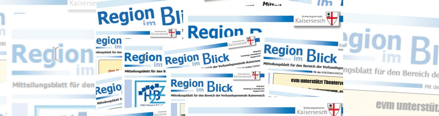 Region im Blick Mitteilungsblätter Region im Blick Mitteilungsblätter