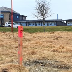 Grundstück neben dem Verwaltungsgebäude