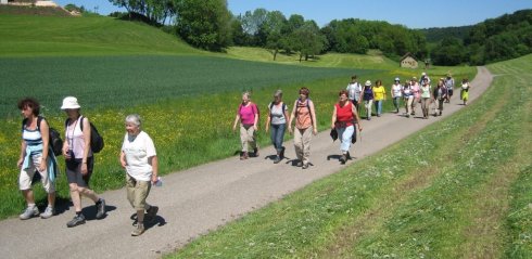 Der Wanderverein auf einem geschotterten Weg durch die Felder der Eifel